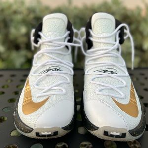 Nike Lebron 13 Elite Gold Basketball Shoes